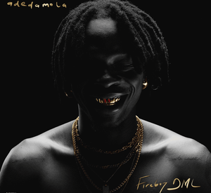 Thumbnail for ALBUM: Fireboy DML – adedamola