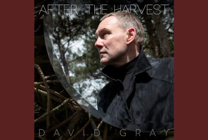 Thumbnail for David Gray – After The Harvest